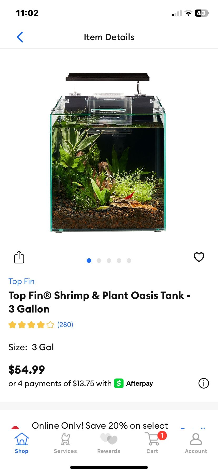 Shrimp Tank