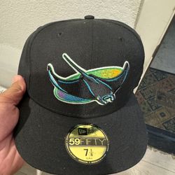 Tampa Bay Rays