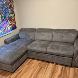 Sectional/Pull Out Couch