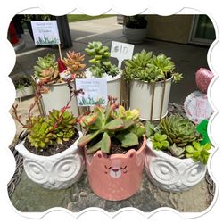 Teacher Appreciate Gifts 