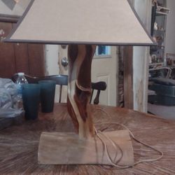 Vintage Diamond Willow Lamp ( One Of A Kind )