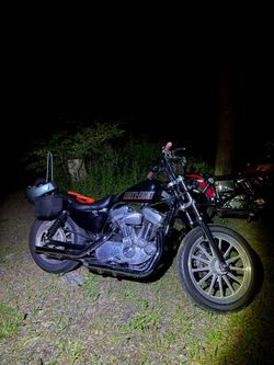 06 sportster