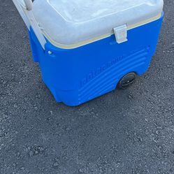 Large rolling cooler