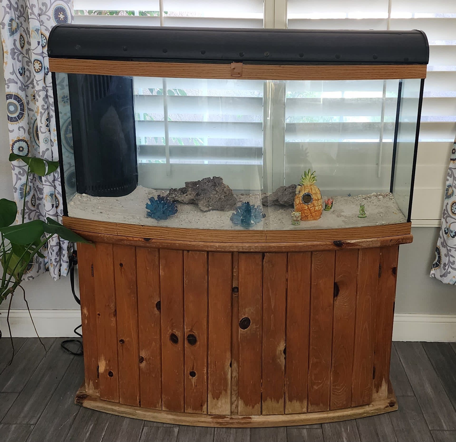 Spectacular 60 Gallon Salt Water Aquarium