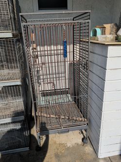 Bird cage