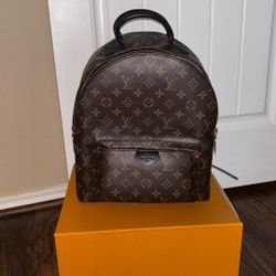 Louis Vuitton Palm Springs MM Backpack