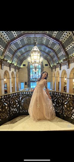 Bridgerton dress 