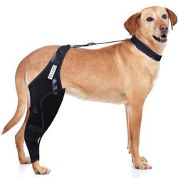 Dog Knee Brace