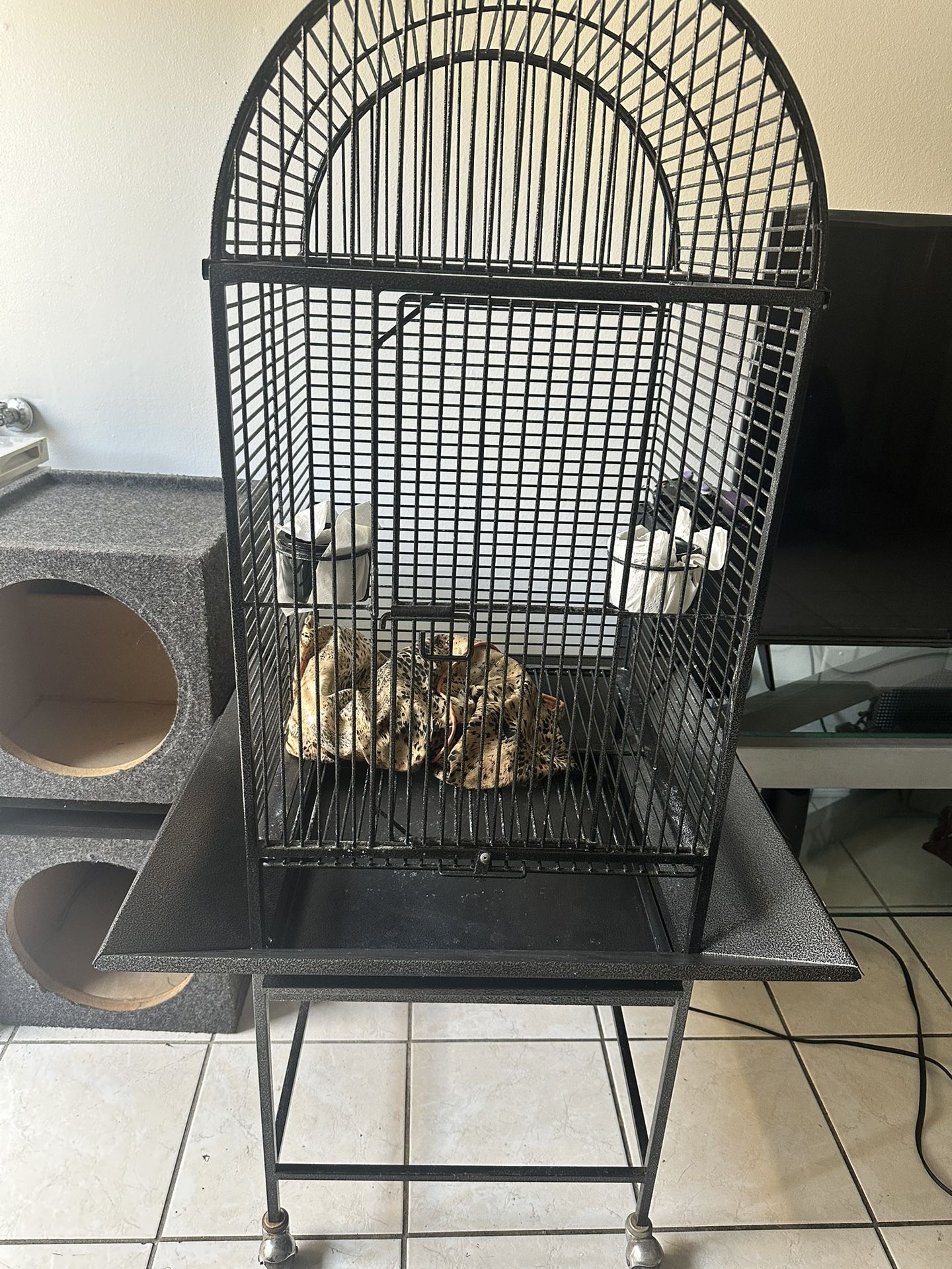 bird cage 