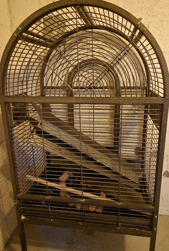 DomeTop Extra Large IRON Bird Cage