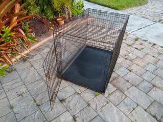 Dog Kennel