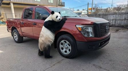 2017 Nissan Titan