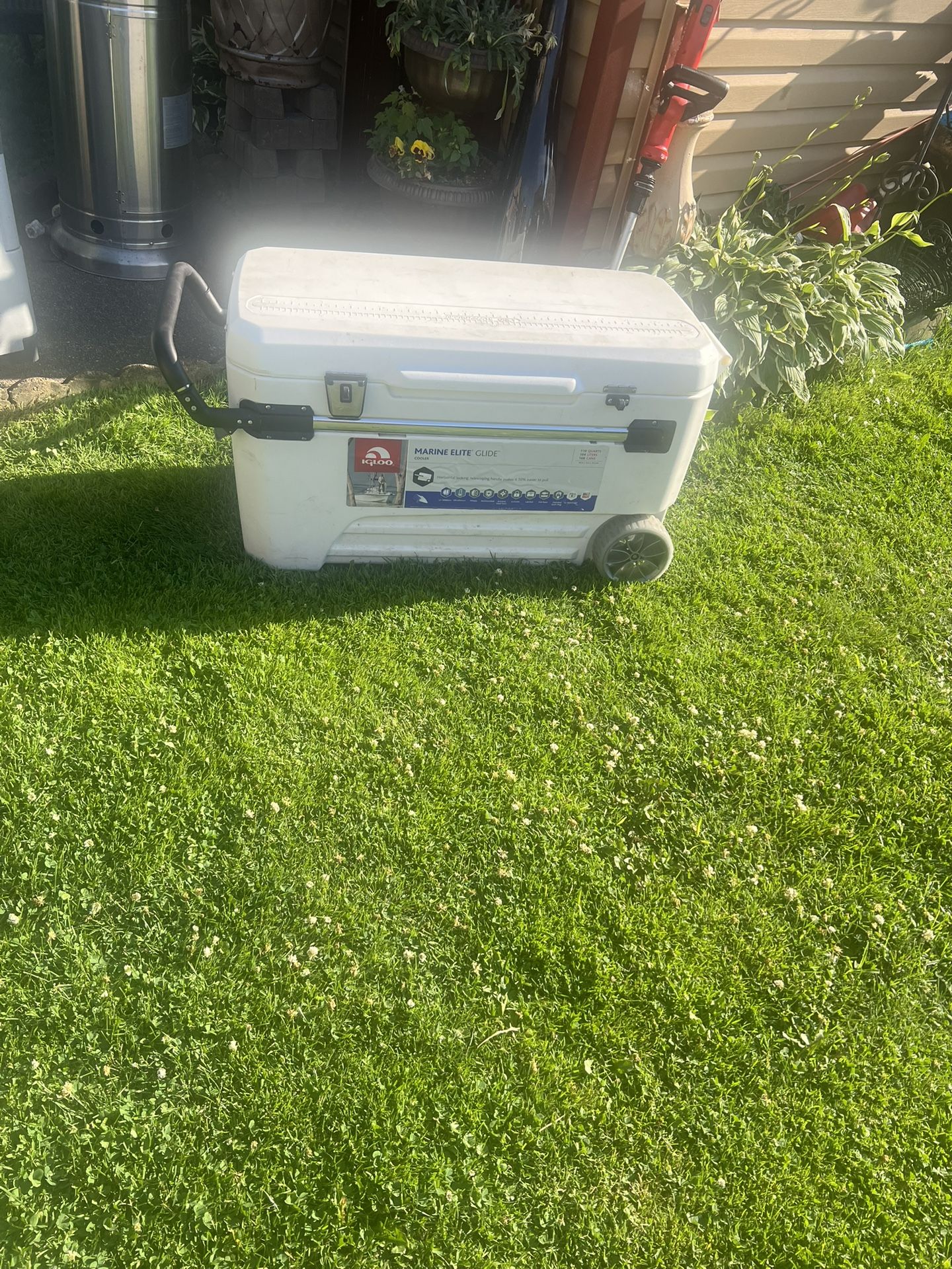 Cooler