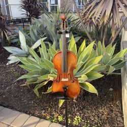 Westcoast Strings Violin Full Size/ Peter Kauffman
