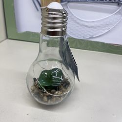New i-Zoom LIGHT UP SUCCULENT TERRARIUM