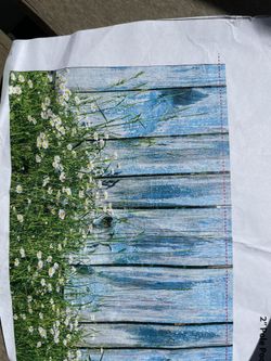 Vinyl Backdrop For Photos Seasonal Scene With Floo