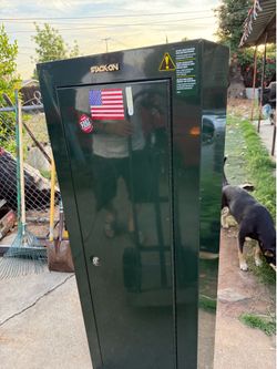 Gun safe