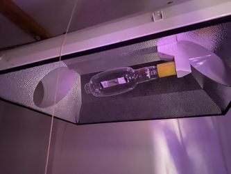 Sun System Low Profile Hood And Hortilix blue bulb