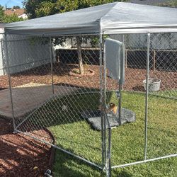 Dog Cage 