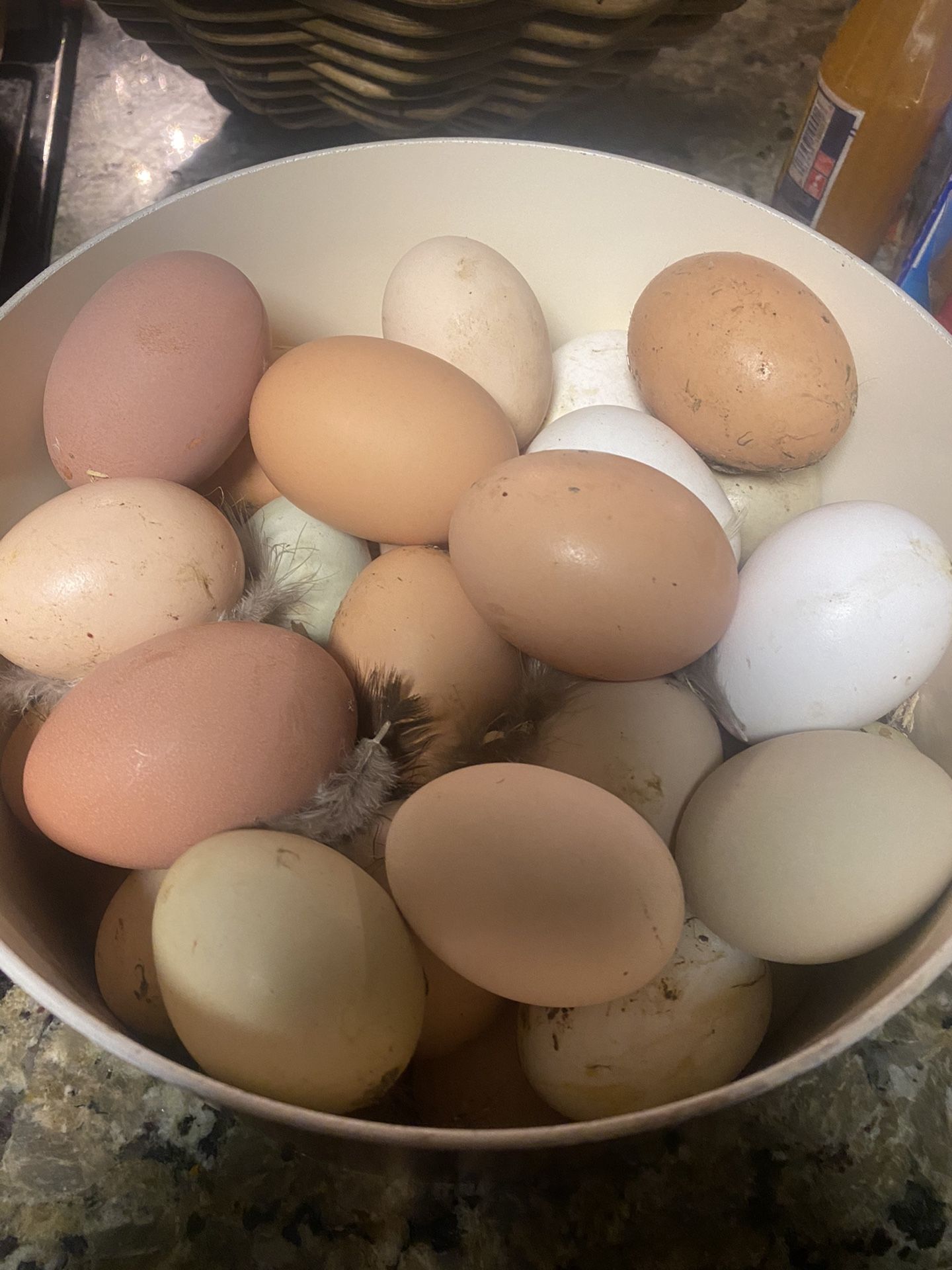 Fresh Eggs