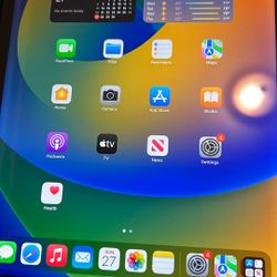 iPad 9th Generation WiFi + Cellular 