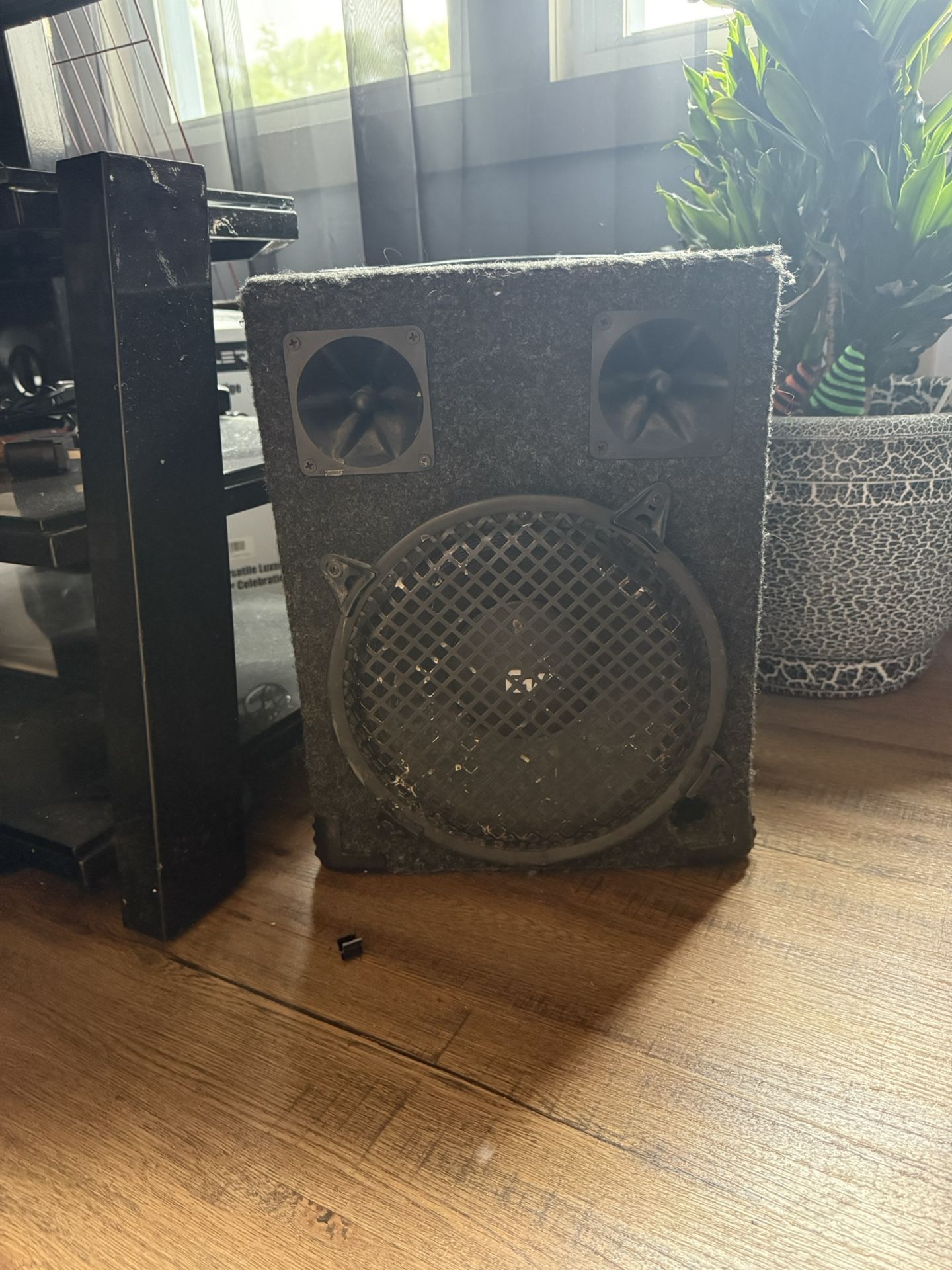 Speaker