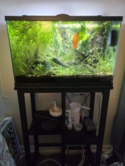 10 Gallon Fish Tank With Stand, Lid, Light, Air Pump And Air Stone