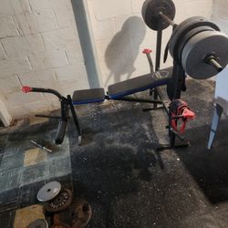 Free-Weights and Bench