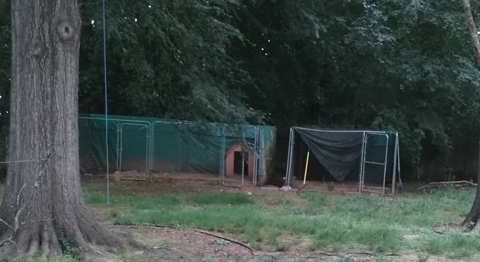 Dog kennels