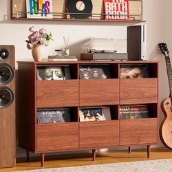 Brottar Vinyl Storage Cabinet