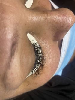 Lash Supply