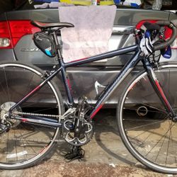 Schwinn Fastback Road Bike 