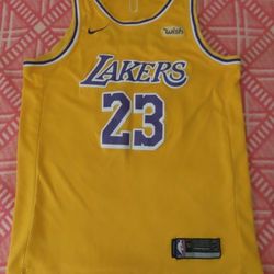 Nike wish los angeles lakers lebron james jersey size 50