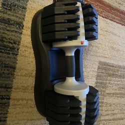 ATIVAFIT Adjustable Dumbbell  55b