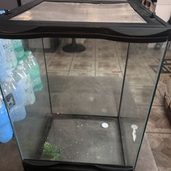 Zoomed Terrarium 