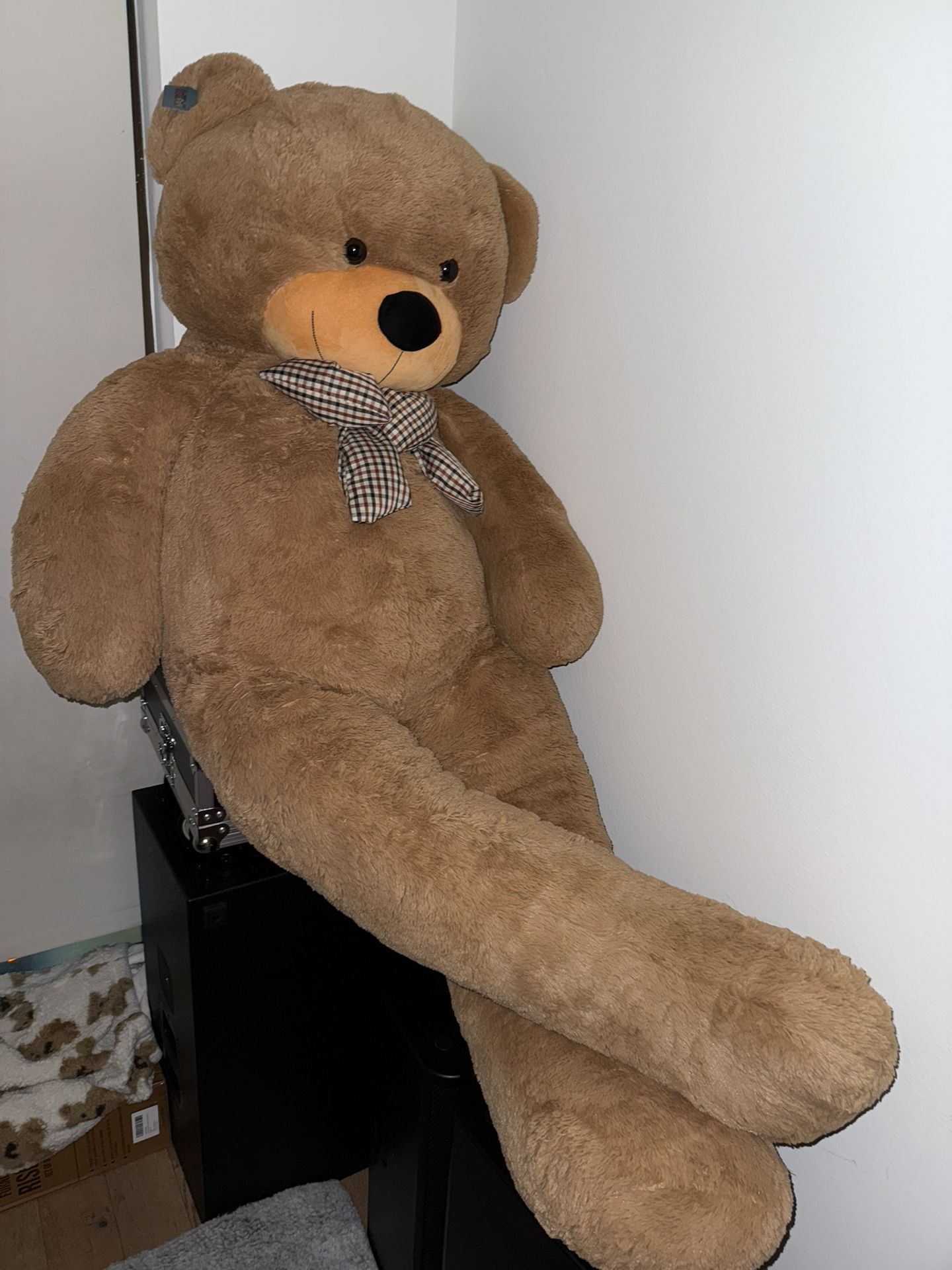 Big Teddy Bear 