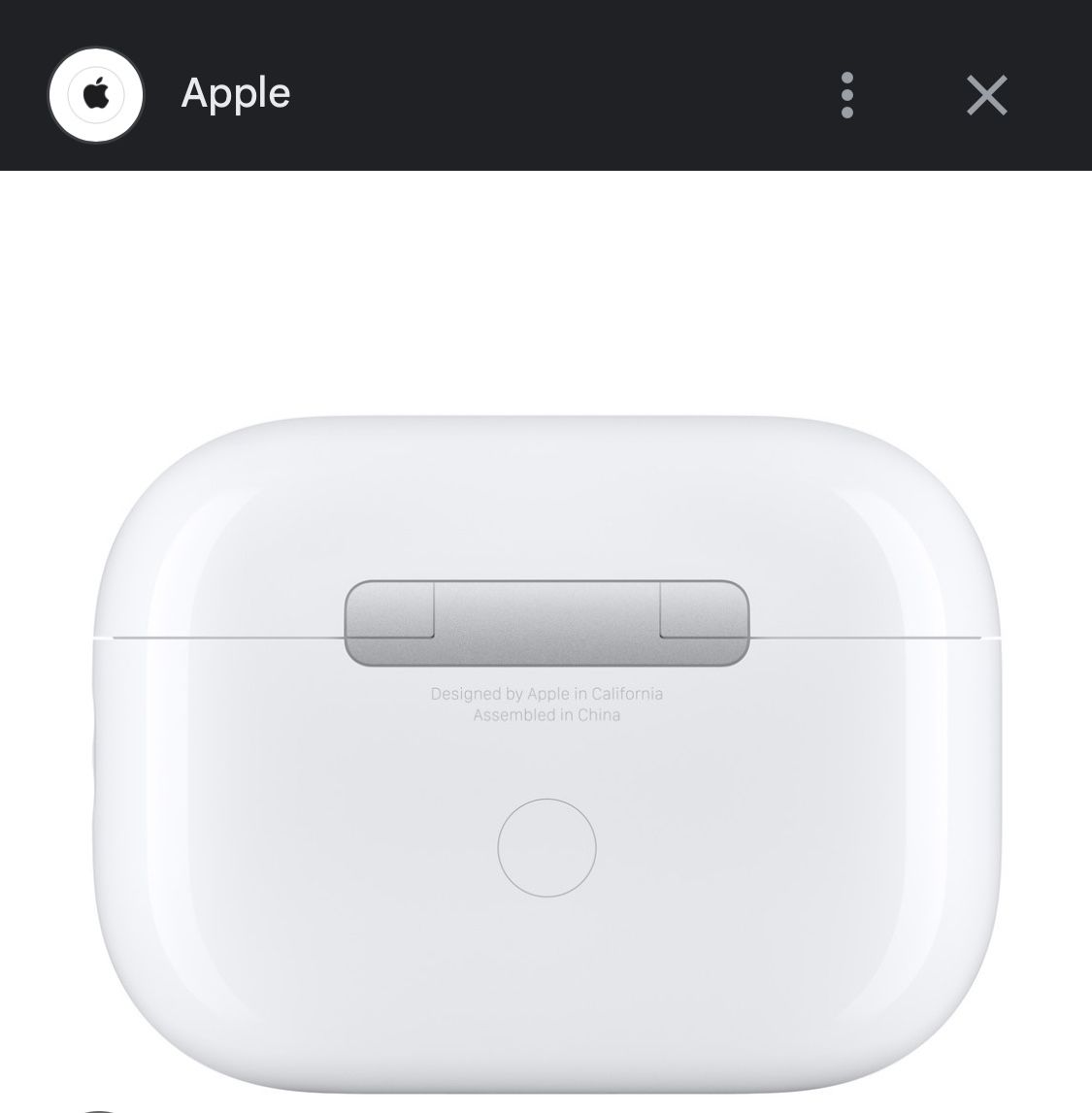AirPod Pro In Case **Found**