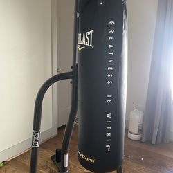 Everlast costal para box