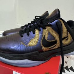 Size 6.5 - Nike Zoom Kobe 5 Protro Year of the Mamba - Eggplant OBO