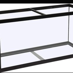 Aquarium Or Fish Tank 