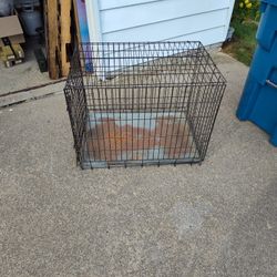 Dog Kennel
