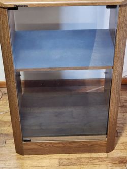 Pioneer Vintage Stereo Cabinet (Rare)