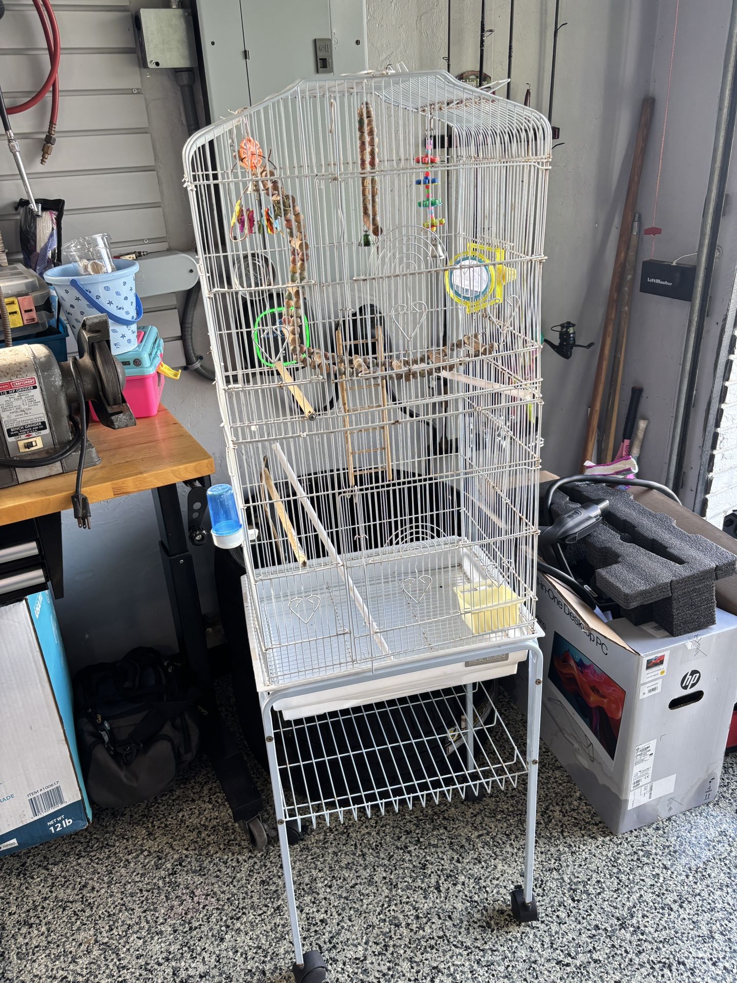 Bird Cage
