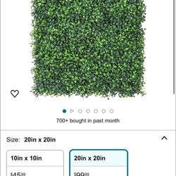 Wall Grass