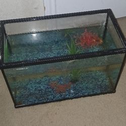 Fish Tank
