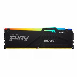 Kingston furry DDR5 ram