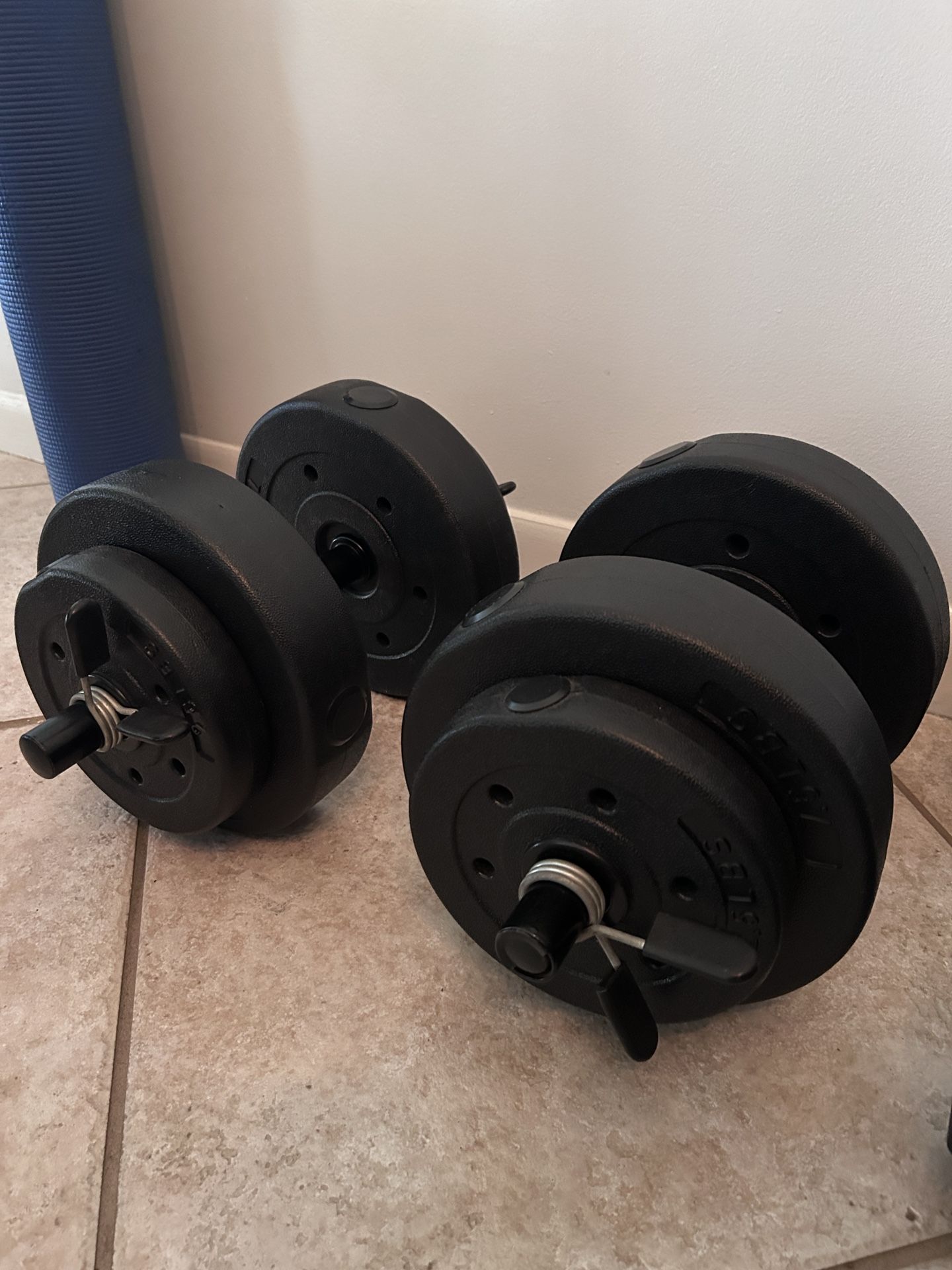 2 x 20lbs Dumbbells
