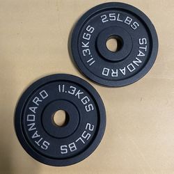 standard barbell weights iron plates 25 lbs 2