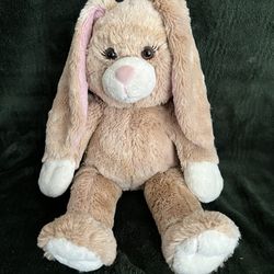 Build A Bear Floppy Ear Bunny 