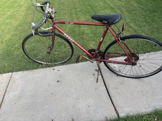 Regal Ten Speed Vintage